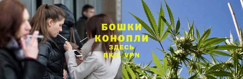 Марихуана THC 21%  ссылка на мегу рабочий сайт  Горно-Алтайск  где можно купить наркотик 